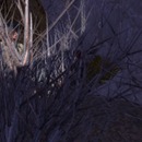 Thumb 509b29c15dd8270dee000001