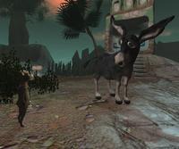 Small 5e1dd062d774f8416d65e464