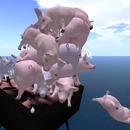 Thumb 50fc6437e115f702d6000001