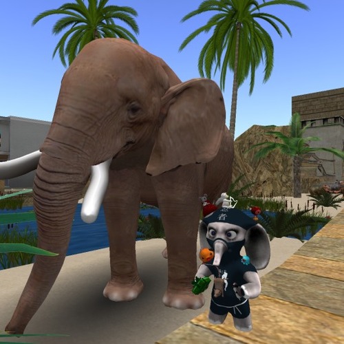 Web 50f88e122a850244b0000001