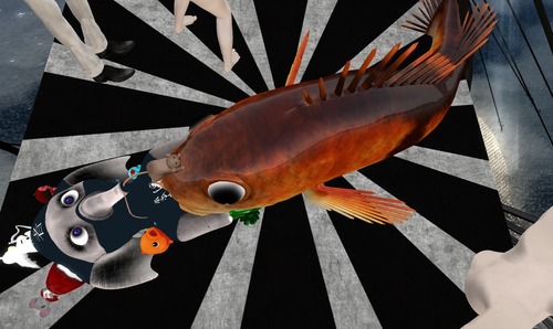 Web 50fc67cfc1640e4d3e000001