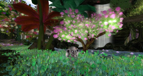 Web 5249970bbf887b5d71000001