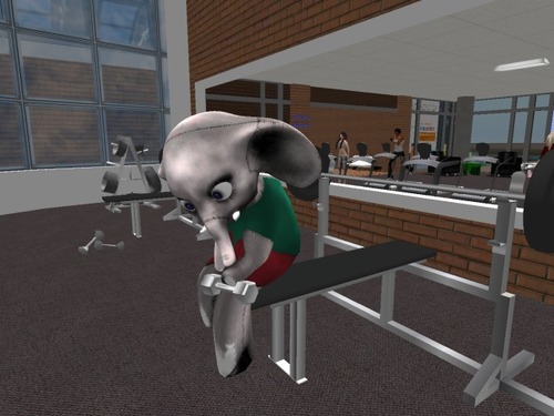 Web 5288c7237a08e501c9000001