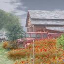 Thumb 604ba3003538d342cf79602f