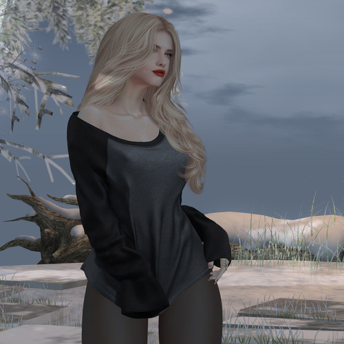 Web 639e22339a8b7a264612f95f