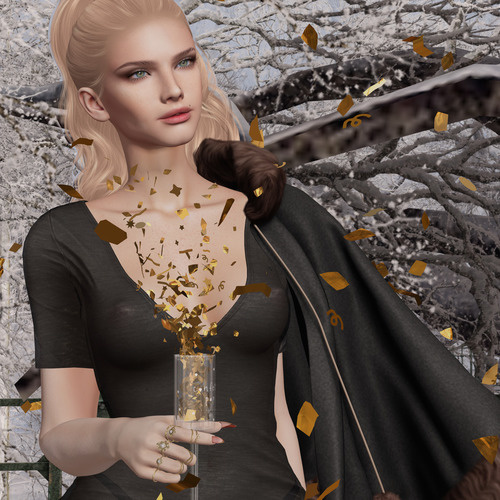 Web 63af4461cefbcd26140dca6e