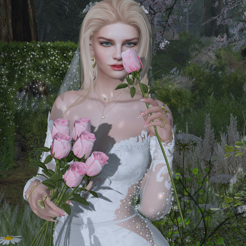 Web 65ca95eae653e612db892c2a