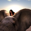 Thumb 52120d27a425543d3f000001