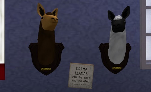 Web 516fdef1cf63cd4d92000001