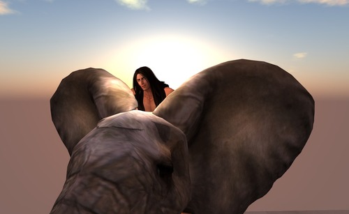 Web 52120d27a425543d3f000001