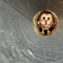 Thumb 50b5d209e7f0cd5d43000001