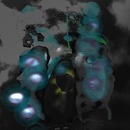 Thumb 5416b29ff8a1ec6a9e000001