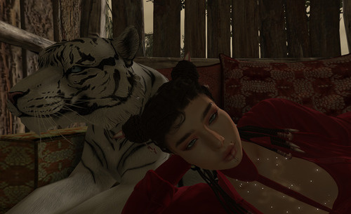 Web 6497ee3daf1f084eafdaa2bf