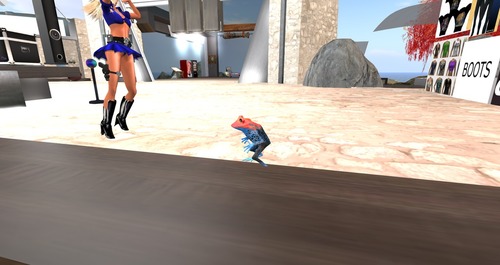 Web 5317d5838da57278ac000001