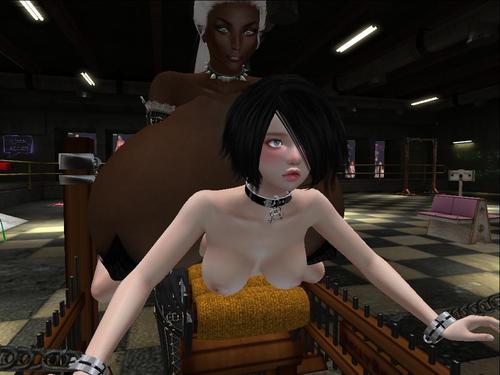 Web 5b474d52d774f850f8000001