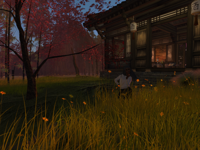 Original 569e3505f8a1ec0d8d000001