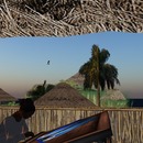 Thumb 55c7cb14a73e211dff000001