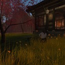 Thumb 569e3505f8a1ec0d8d000001