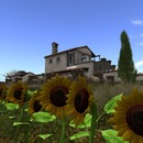 Thumb 55aec998a73e21653e000001