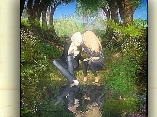 Web 51ce564ec9743a4dab000001