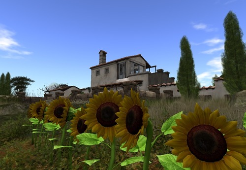 Web 55aec998a73e21653e000001