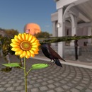 Thumb 57d4124fb015402195000001