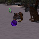 Thumb 536fc390f8a1ec6ad9000001