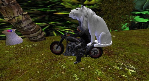 Web 54e8ba21f8a1ec328e000001