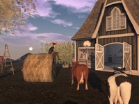 Small 585e49a1f8a1ec5263000001