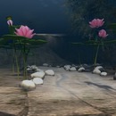 Thumb 53ee1cd2128cc9263f000001