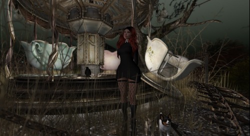 Web 57f71cc3b0154005d1000001