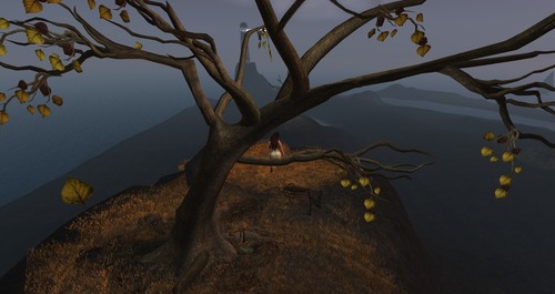 Web 51fbee60bb82a761c6000001