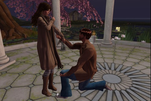 Web 56b6b8ce76408b35e5000001