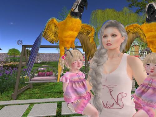 Web 5ec9a06ed774f816a0b89d9e