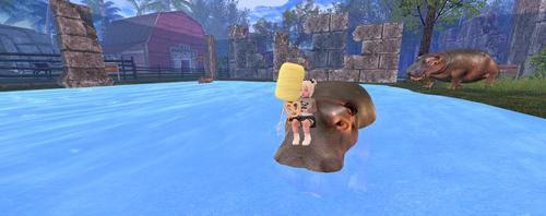 Web 6214074eb085a4323fed4a29