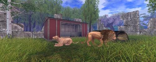 Web 621411be29c49244fc3b2e6a