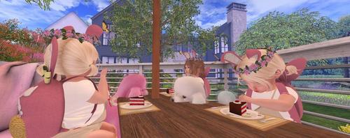 Web 625c813e98ed951e1e895231