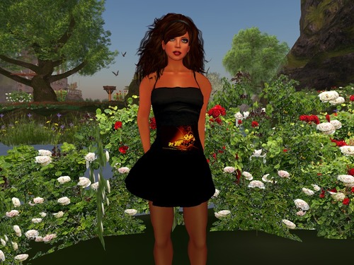 Web 55548dbcf8a1ec2dc1000001