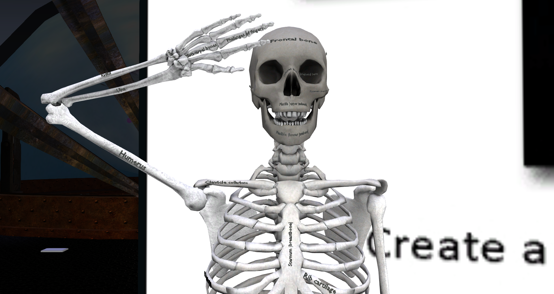 Original 52f4303f128cc92c1f000001