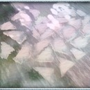 Thumb 51684a3b699e46169c000001