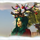 Thumb 52a504c9193aa524ed000001