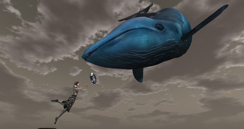 Web 5185a7e622245134aa000001