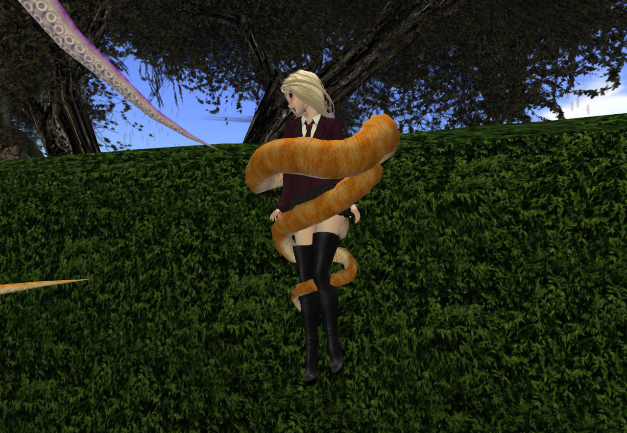 Original 51a74b14be1ee75bcf000001