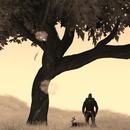 Thumb 5b4188be73ed170c57000001