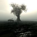 Thumb 5b480d39289dd23231000001