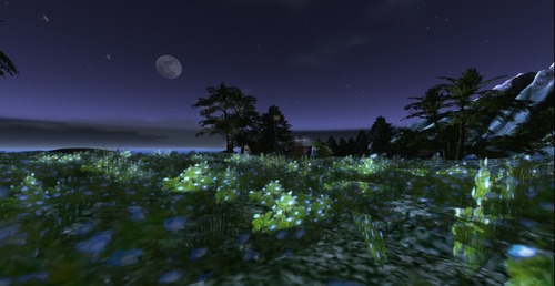 Web 51638f37198e8b7c5c000001