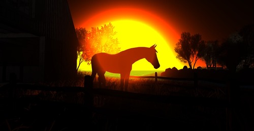 Web 5168a66cd413657e46000001