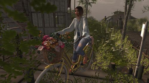 Web 5c90180073ed175aaf000001