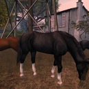 Thumb 5574b5d0a73e2106c7000001