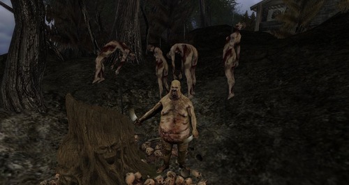 Web 56140a05a73e214c27000001